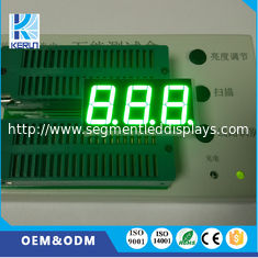 شاشة LED خضراء نقية مكونة من 3 أرقام وسبعة قطاعات 0.56 بوصة للوحة العدادات
